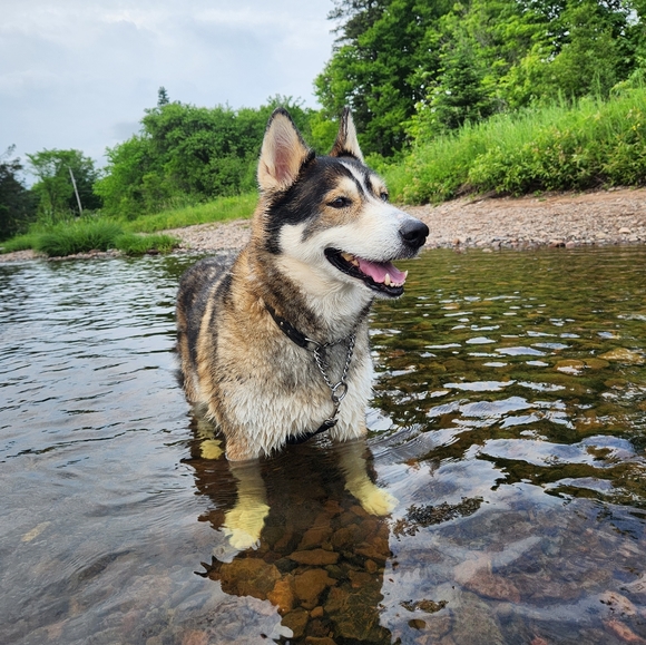 Meet your Posher, Amanda - Picture 1 of 1